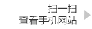 永久不变的49出码规律